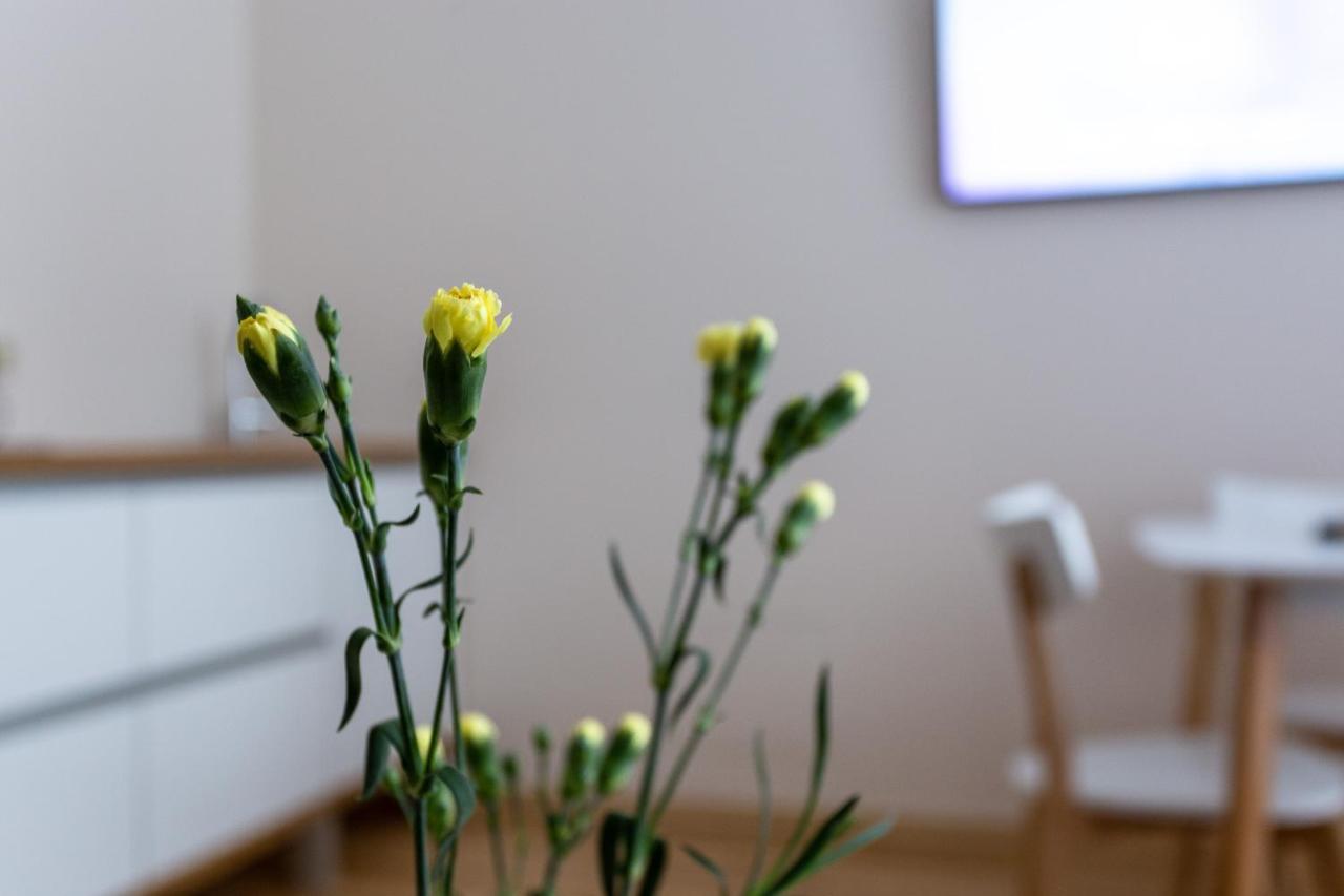 Violetos Lux Apartamentai2 Druskininkai Buitenkant foto